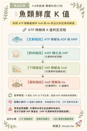 AI 記憶小卡