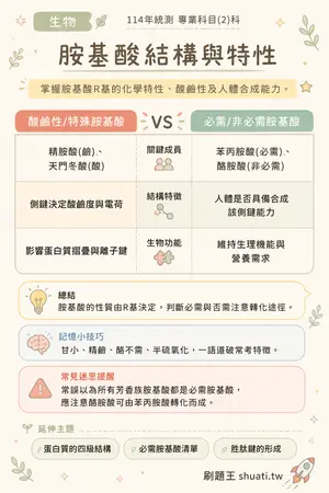 AI 記憶小卡