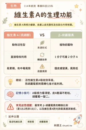 AI 記憶小卡