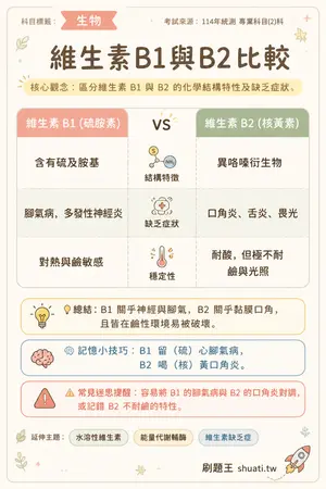 AI 記憶小卡