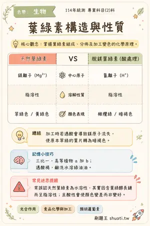 AI 記憶小卡