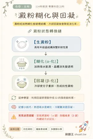 AI 記憶小卡