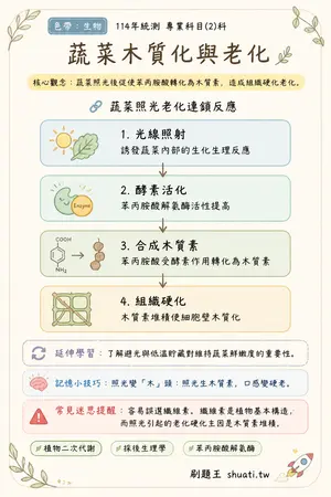AI 記憶小卡