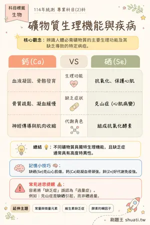 AI 記憶小卡