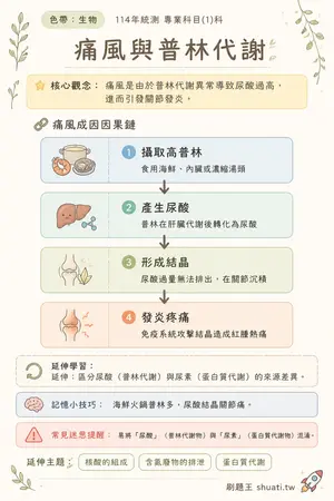 AI 記憶小卡