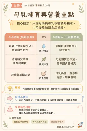 AI 記憶小卡