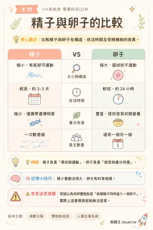 AI 記憶小卡