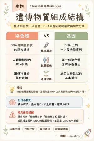 AI 記憶小卡
