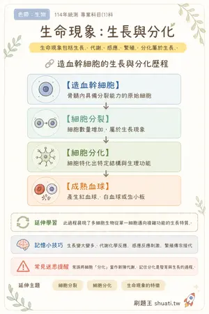 AI 記憶小卡