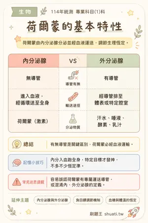 AI 記憶小卡