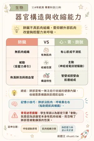 AI 記憶小卡