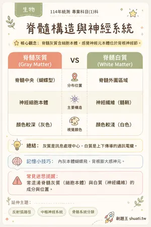 AI 記憶小卡