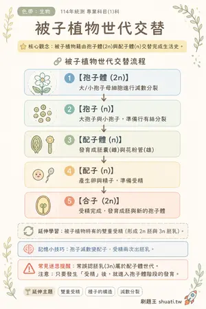 AI 記憶小卡