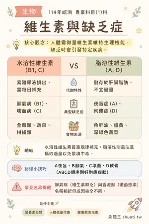 AI 記憶小卡