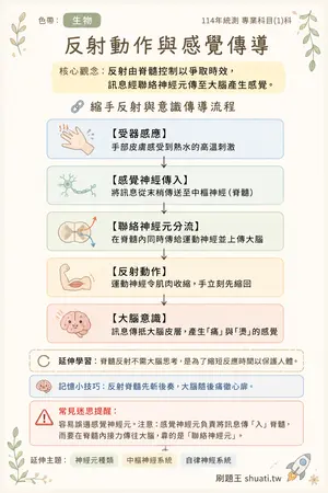 AI 記憶小卡
