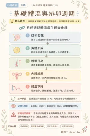 AI 記憶小卡