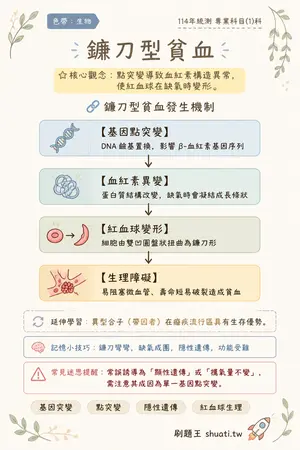 AI 記憶小卡