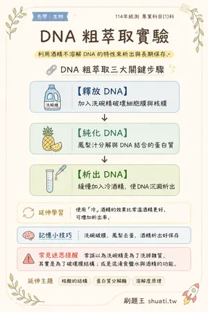 AI 記憶小卡