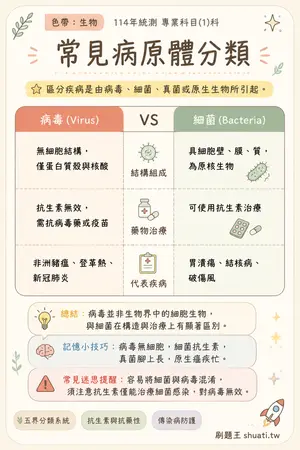 AI 記憶小卡