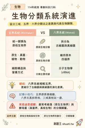 AI 記憶小卡