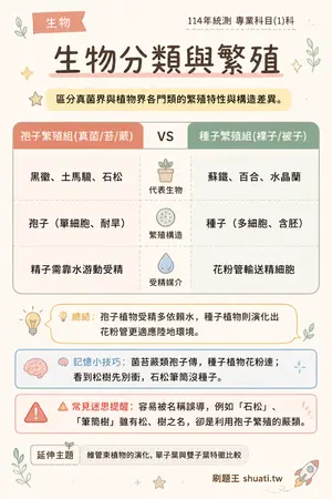 AI 記憶小卡