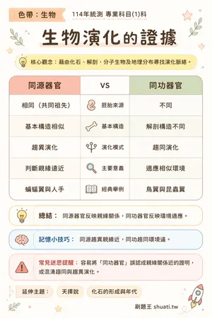 AI 記憶小卡