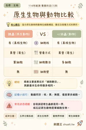 AI 記憶小卡
