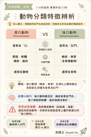 AI 記憶小卡