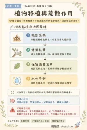 AI 記憶小卡
