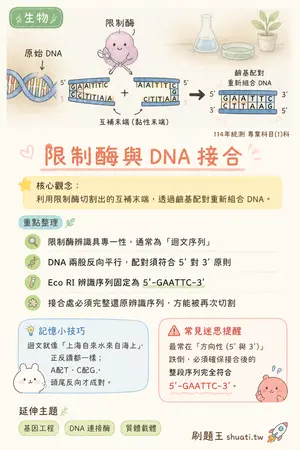 AI 記憶小卡
