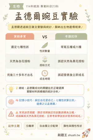 AI 記憶小卡