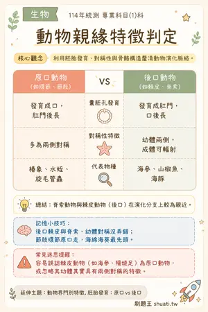 AI 記憶小卡