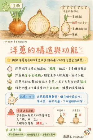 AI 記憶小卡