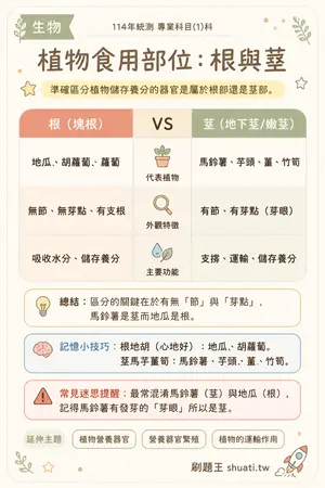 AI 記憶小卡