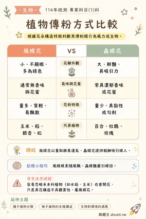 AI 記憶小卡