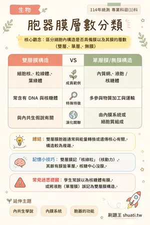 AI 記憶小卡