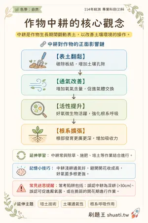 AI 記憶小卡