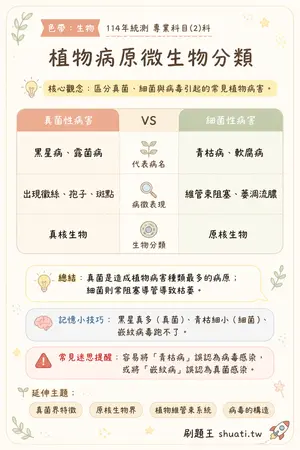 AI 記憶小卡