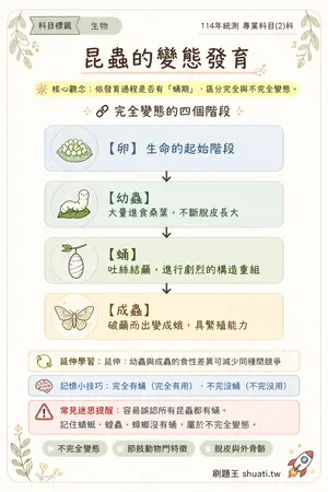 AI 記憶小卡