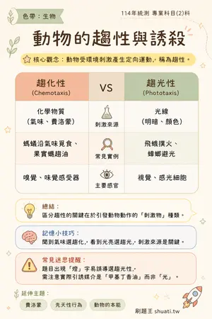 AI 記憶小卡