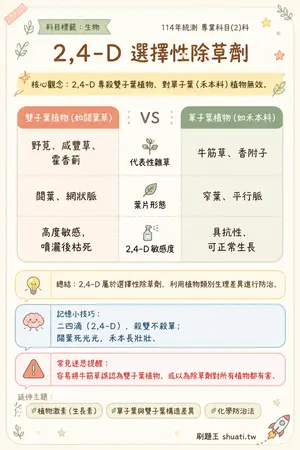 AI 記憶小卡