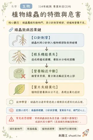 AI 記憶小卡