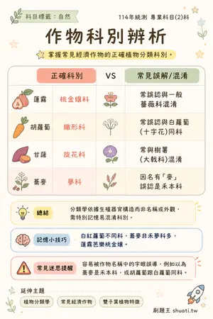 AI 記憶小卡