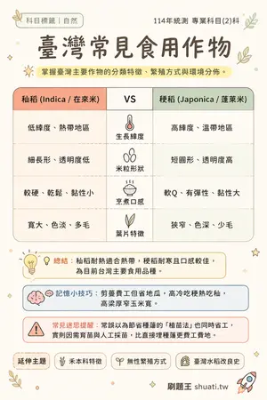 AI 記憶小卡