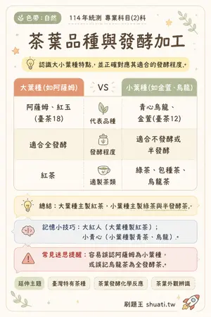 AI 記憶小卡