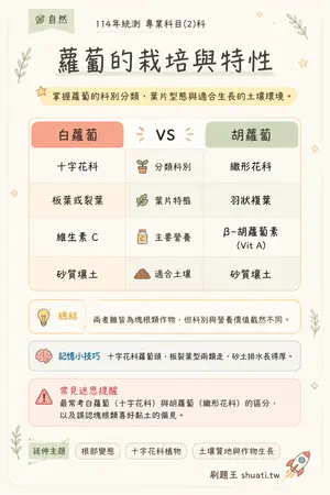 AI 記憶小卡