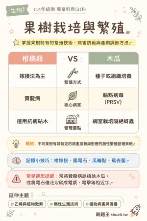 AI 記憶小卡