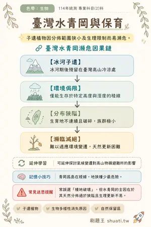 AI 記憶小卡