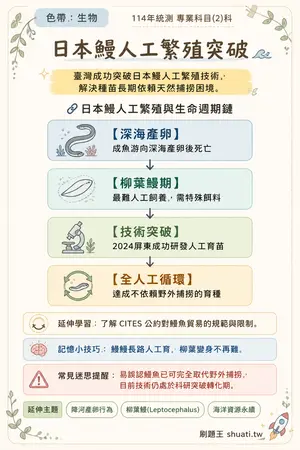 AI 記憶小卡