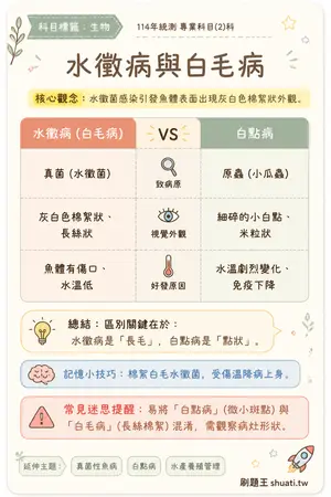 AI 記憶小卡